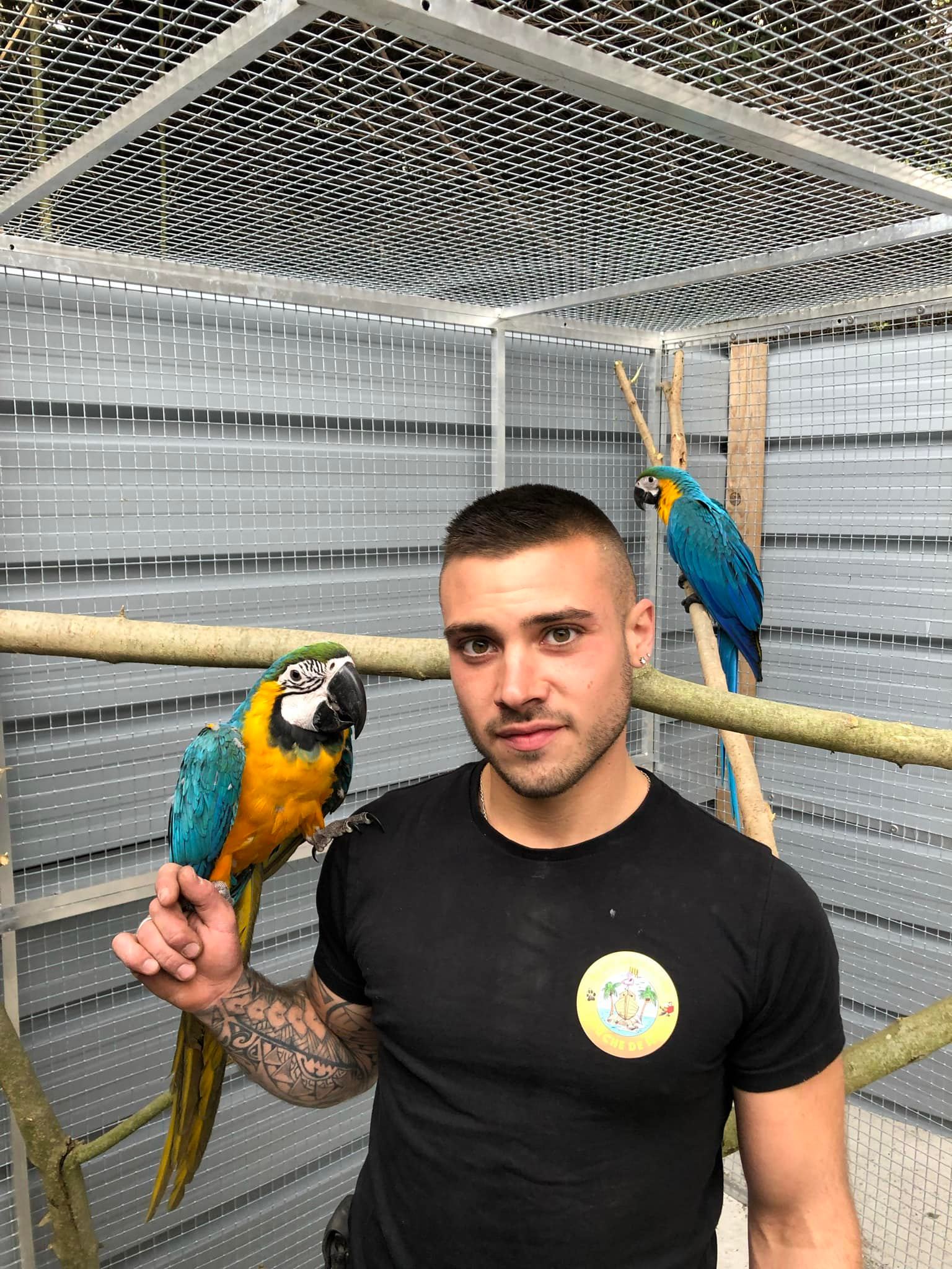 robin-arche-de-méo